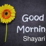Good-Morning-Shayari