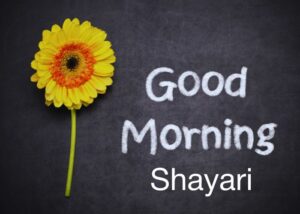 Good-Morning-Shayari