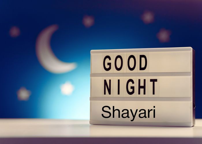 Good-Night-Shayari