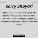 Sorry-Shayari