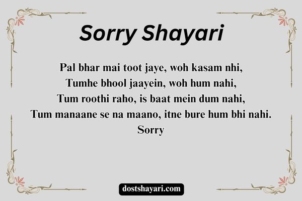 Sorry-Shayari
