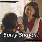 Sorry-Shayari