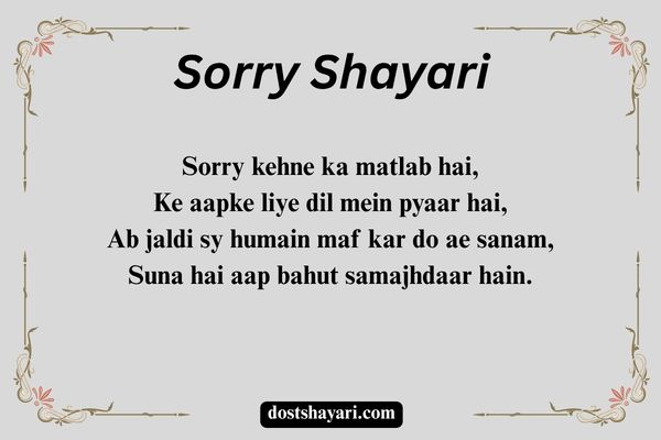Sorry-Shayari